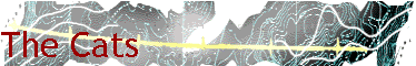 The Cats